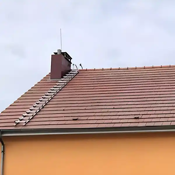 Après - Traitement curatif des tuiles