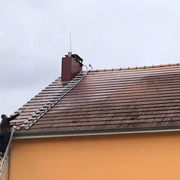 Avant - Traitement curatif des tuiles